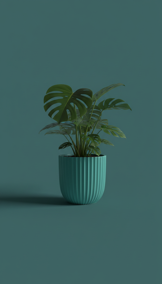 Fiddle Leaf Fig in Sculpted Concrete